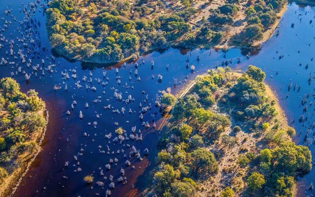 Mokoro Trip into the Okavanga Delta