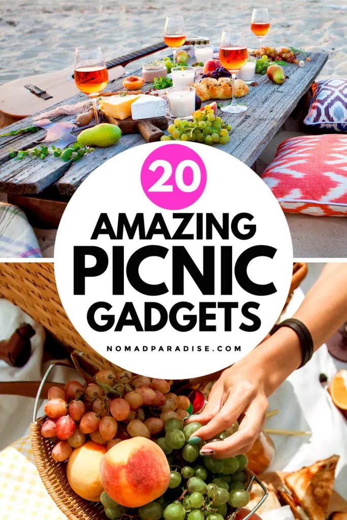 20 Amazing Picnic Gadgets