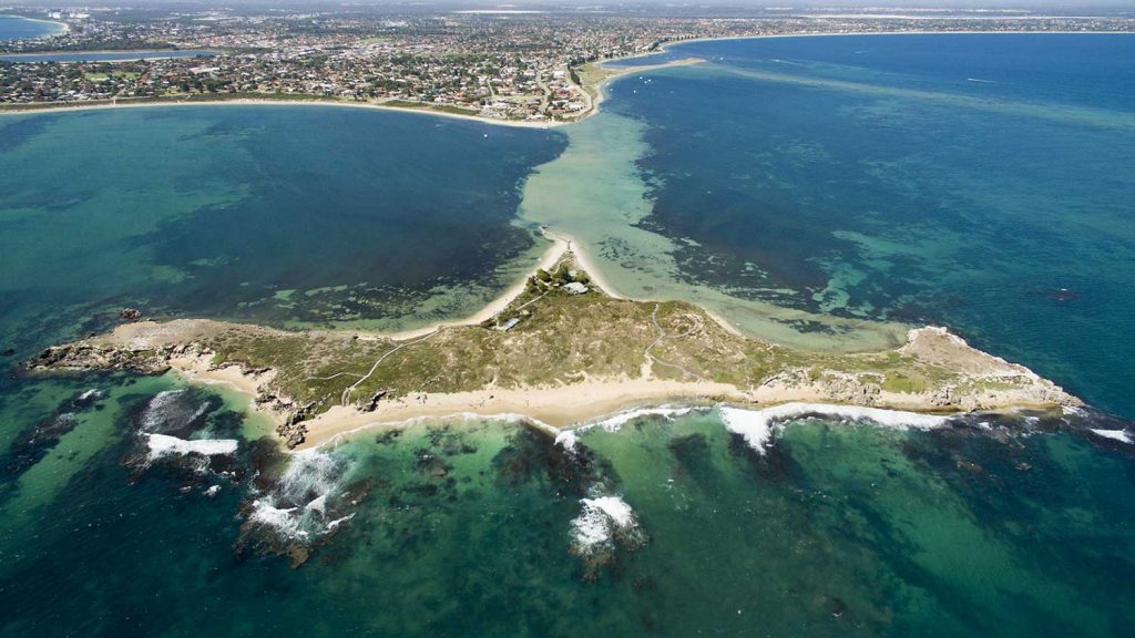 Penguin Island, Western Australia