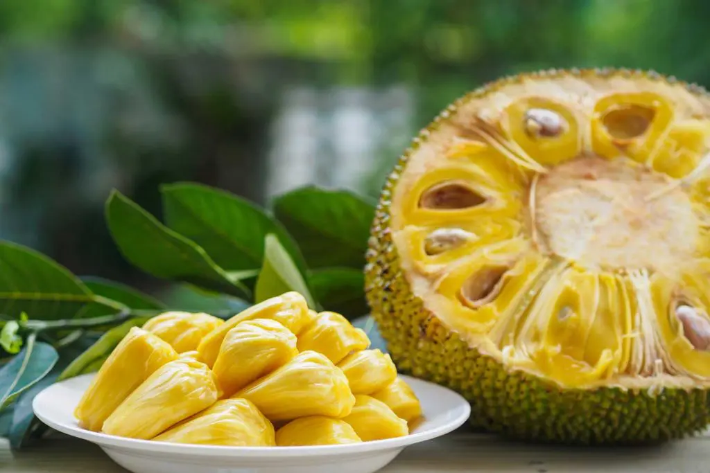 Asian fruit: Jackfruit