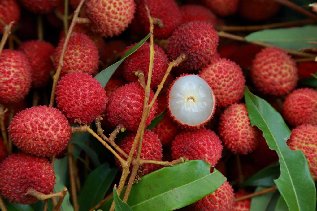 30 Exotic Asian Fruits You Must Try Nomad Paradise