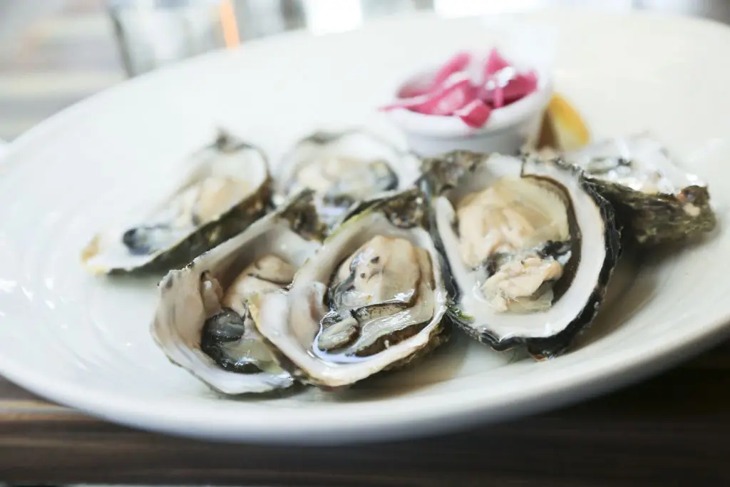 Irish food: Oysters 