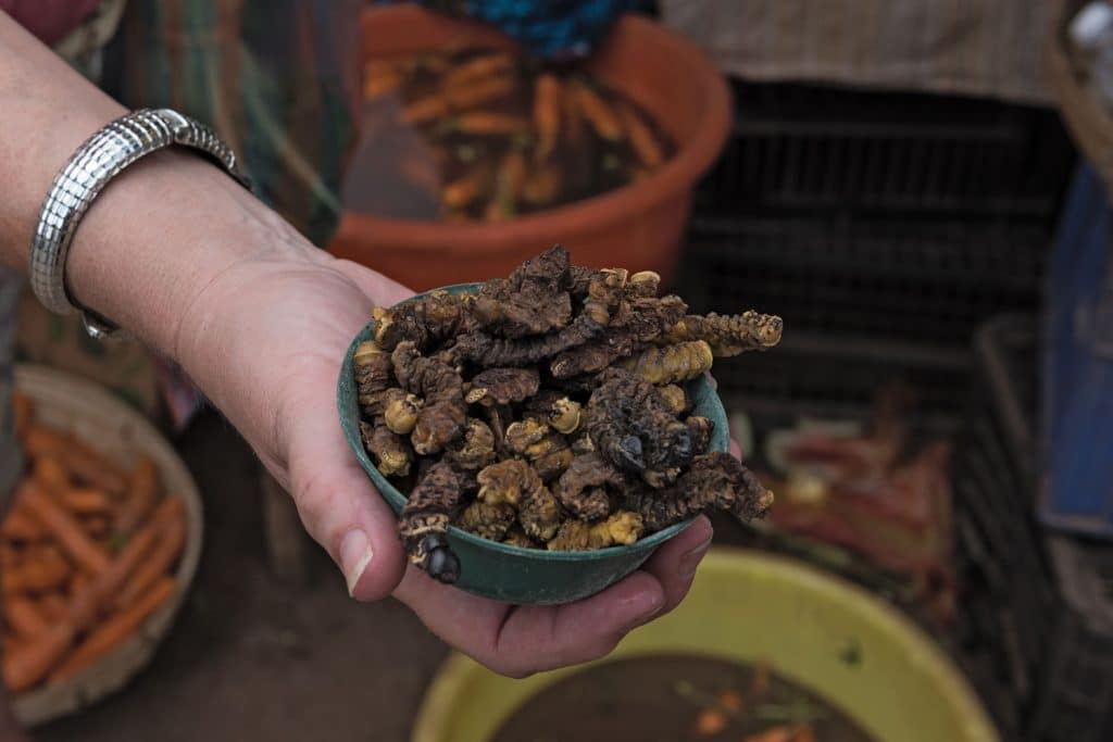 Namibian Food: Omagungu (Mopane Worm)