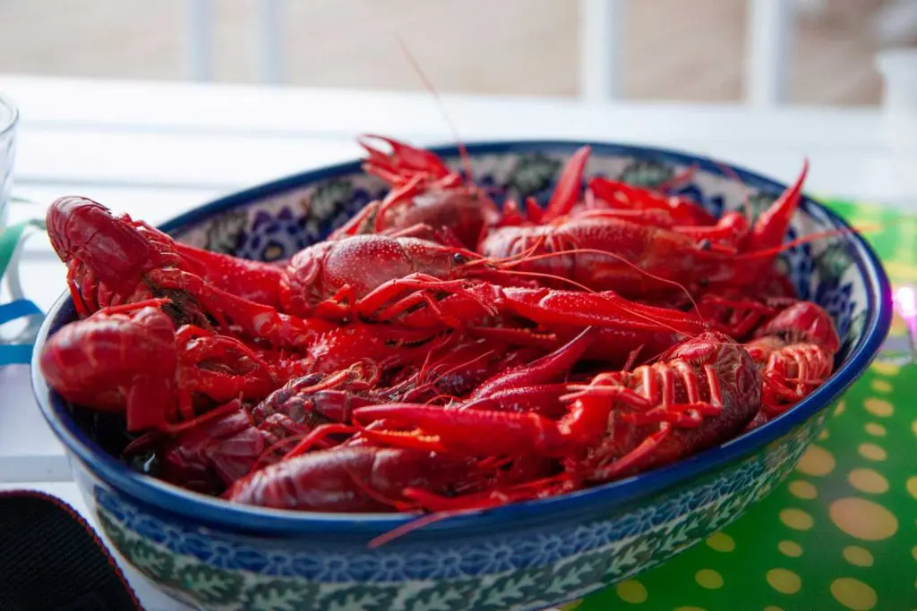 Swedish Food: Kräftor – Crayfish