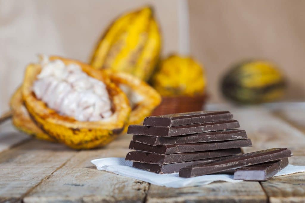 chocolate with cacao fruit in the background
