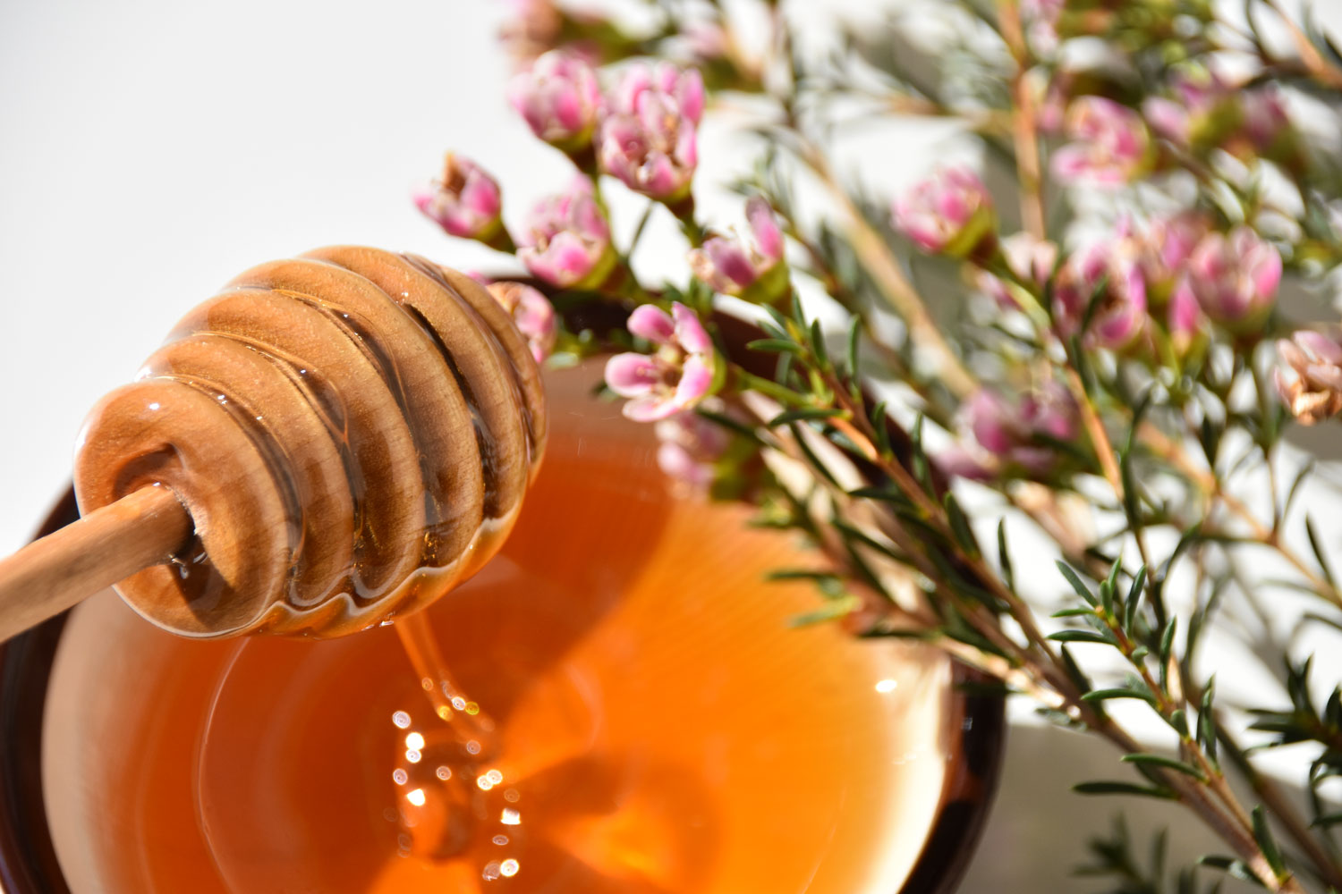 New Zealand Food 16 Dishes You Need to Try When in New Zealand Nomad