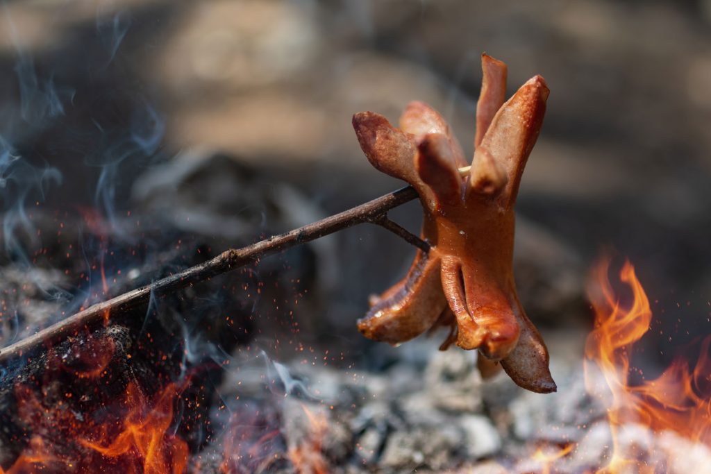 Cervelat (Sausage) cooked on open fire.