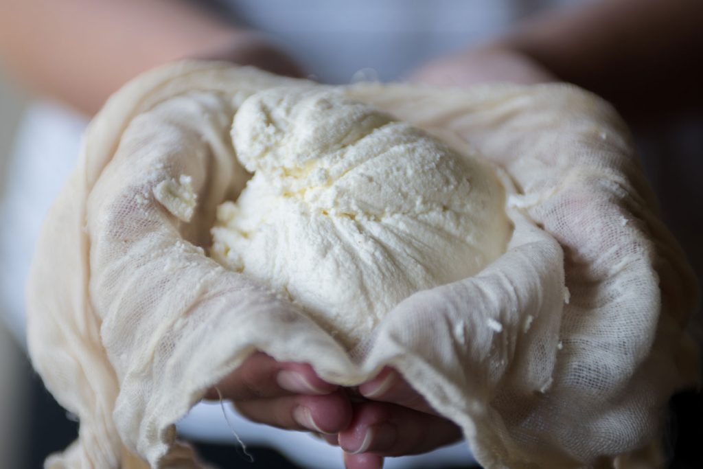 Holding freshly made ricotta in cheesecloth