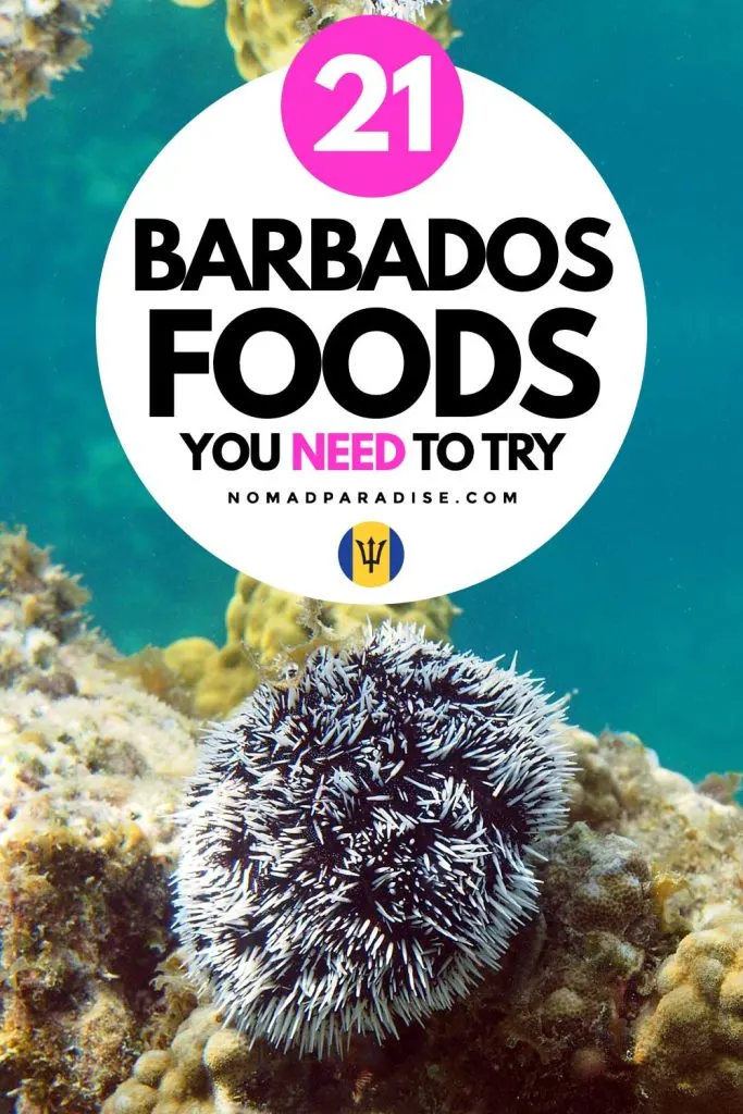 21 Barbados foods you need to try - Nomad Paradise (pin featuring sea urchin).