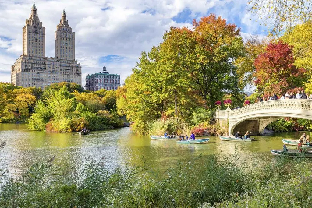 Central Park in the autumn, New York City