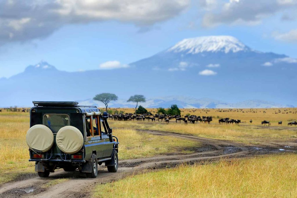 Safari in Masai mara reserve in Kenya