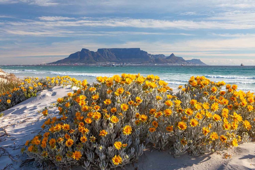 View of Table Mountain, Cape Town