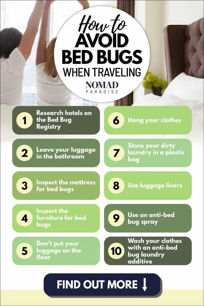 andere Viool Somatische cel How to Avoid Bed Bugs When Traveling - 11 Smart Tips - Nomad Paradise