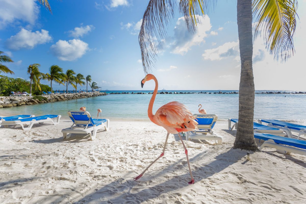 21 Best Tropical Vacation Spots for a Slice of Paradise Nomad Paradise