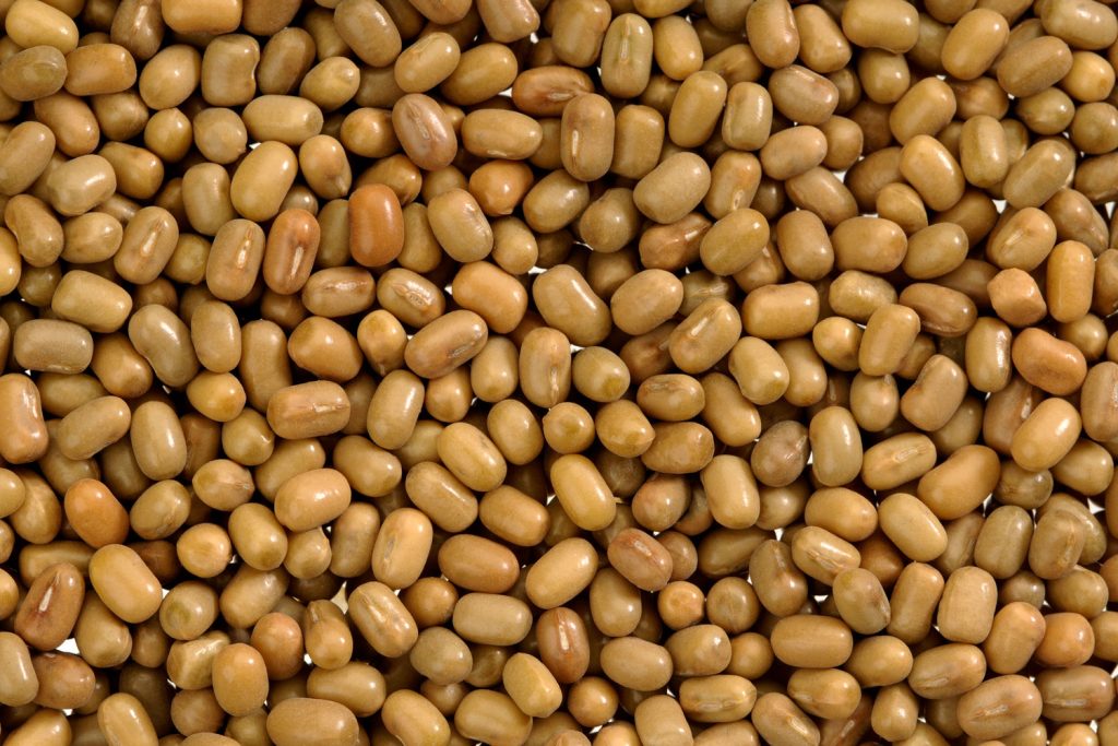 Matki beans