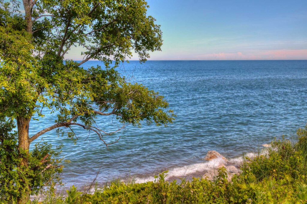 View of the beach and trees at Illinois Beach State Park